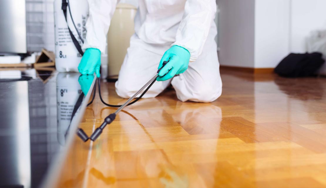 مكافحة الابراص