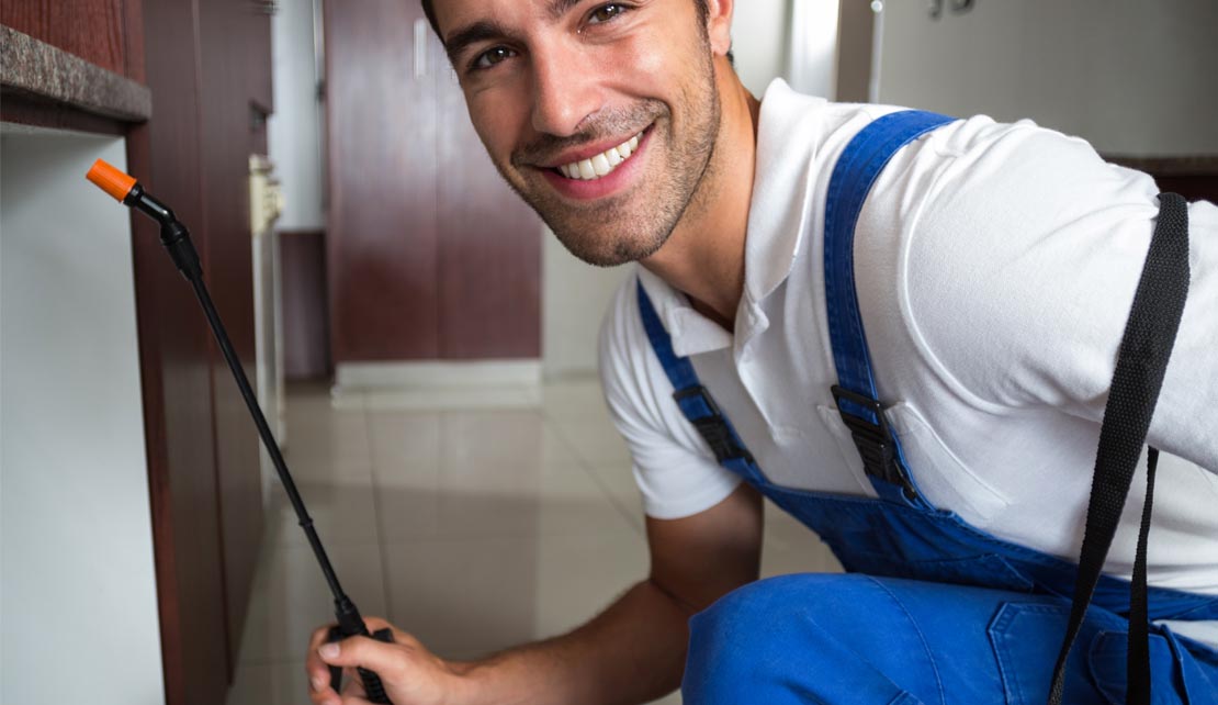 مكافحة السوس