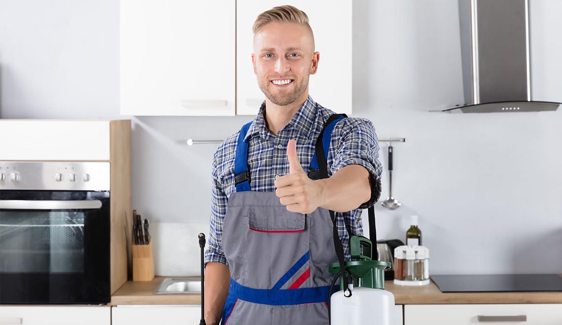 مكافحة النمل